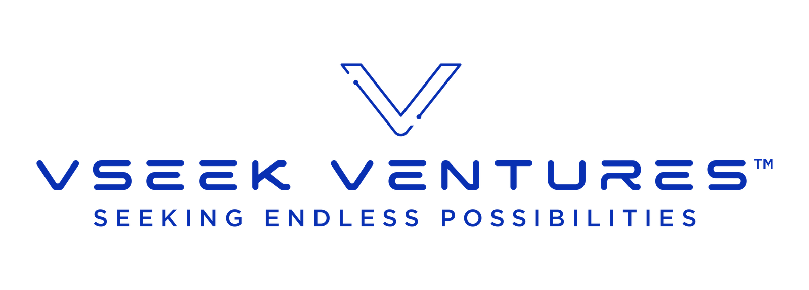 VSeek